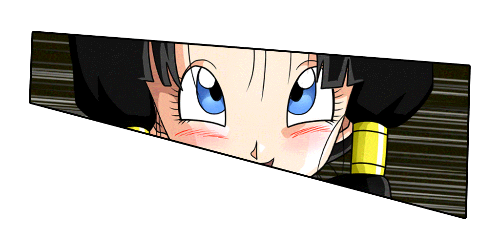 Videl
