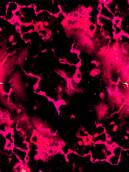 Bardock Super Saiyan 2