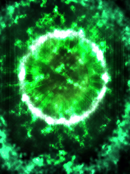 Kamesennin (ensorcelé)