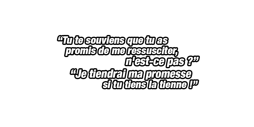 Son Goku & Freezer (forme finale) (ange)