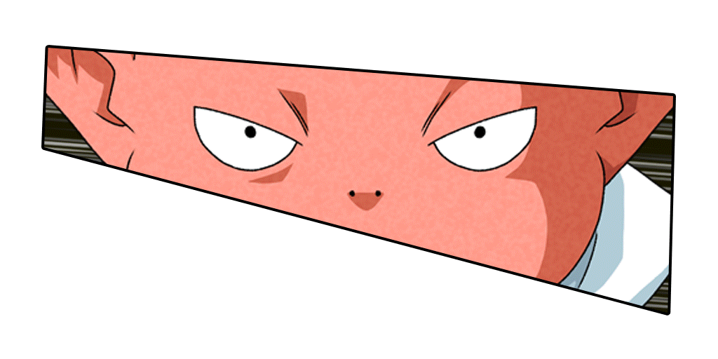 Beerus (Déguisement Monaka)