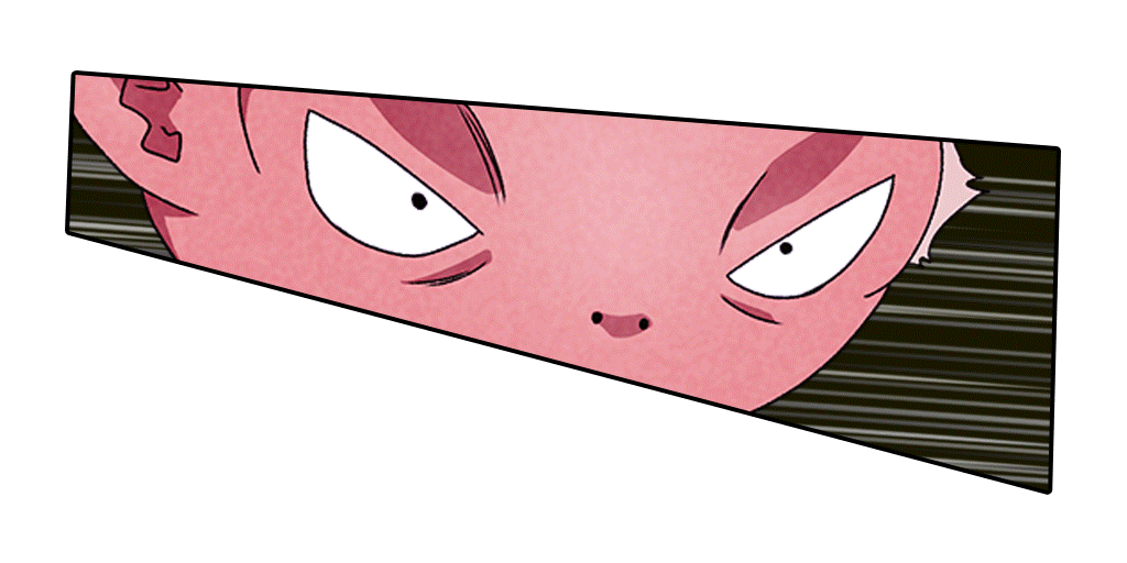 Beerus (Déguisement Monaka)