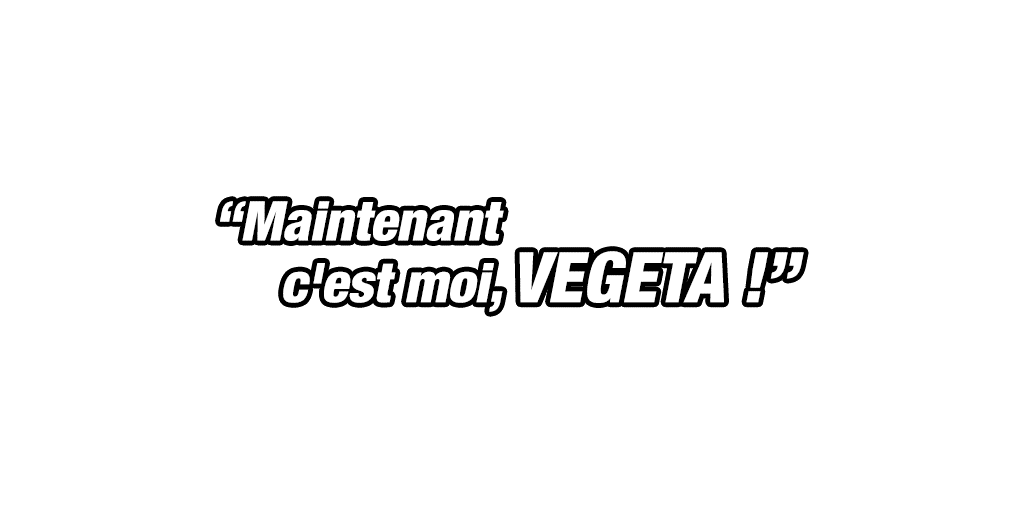 Copie de Vegeta
