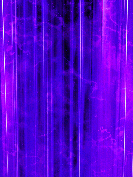 Ryu Shenron (princesse Oto)