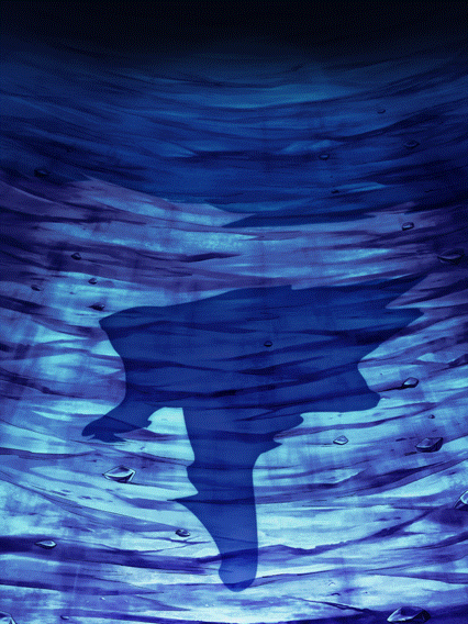 Son Gohan Super Saiyan (jeune) &
Son Goten Super Saiyan (petit)