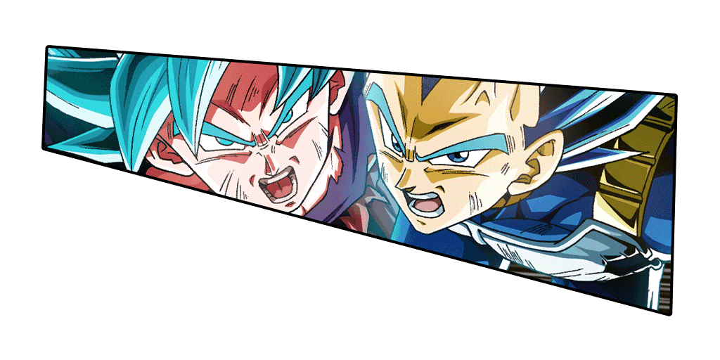 Son Goku Super Saiyan divin SS (Kaioken) 
& Vegeta Super Saiyan divin SS évolué