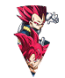 Son Goku Super Saiyan divin
& Vegeta Super Saiyan divin