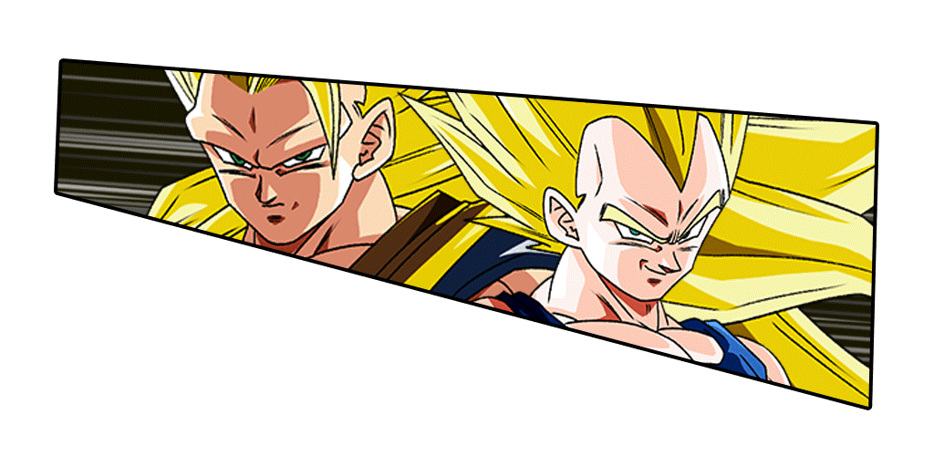 Son Goku Super Saiyan 3 & Vegeta Super Saiyan 2