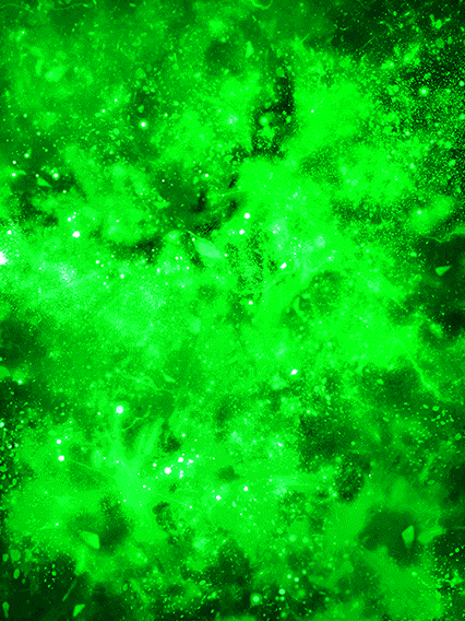 Son Goten Super Saiyan (petit)