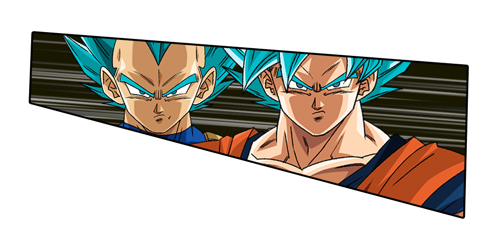 Son Goku Super Saiyan divin SS
& Vegeta Super Saiyan divin SS
