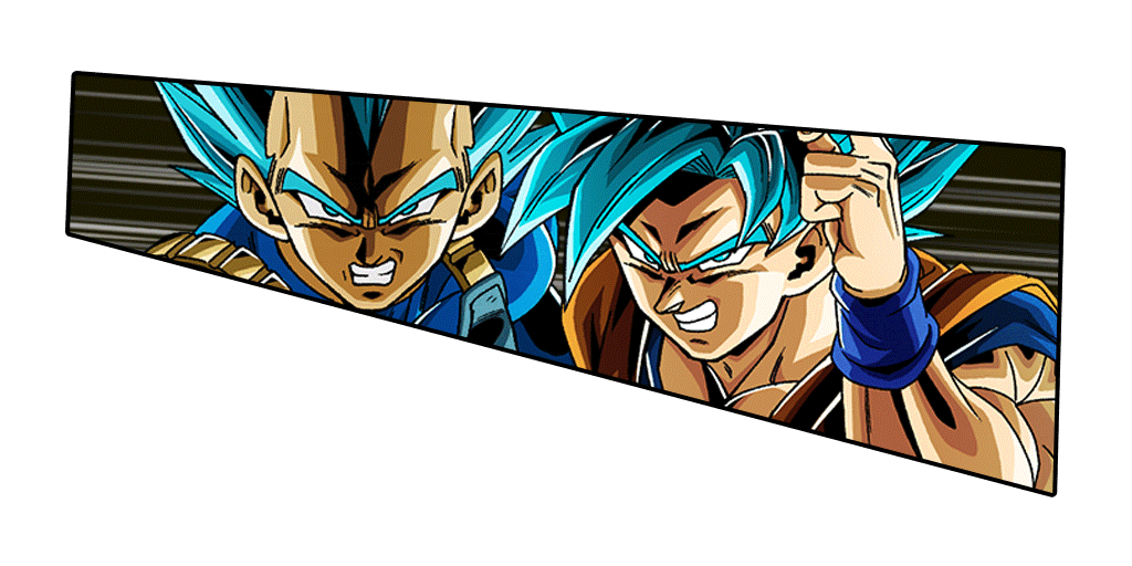 Son Goku Super Saiyan divin SS
& Vegeta Super Saiyan divin SS