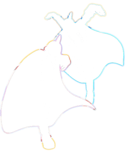 Gamma 1 & Gamma 2/Gamma 1