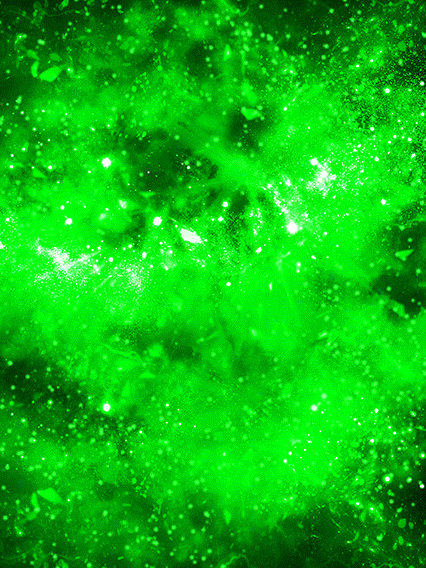 Combattant vêtu de noir (Super Saiyan)
(renforcé par les boules de cristal sombres)