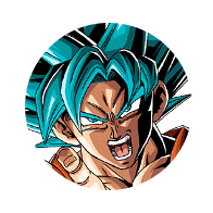 Son Goku Super Saiyan divin SS + Vegeta Super Saiyan divin SS