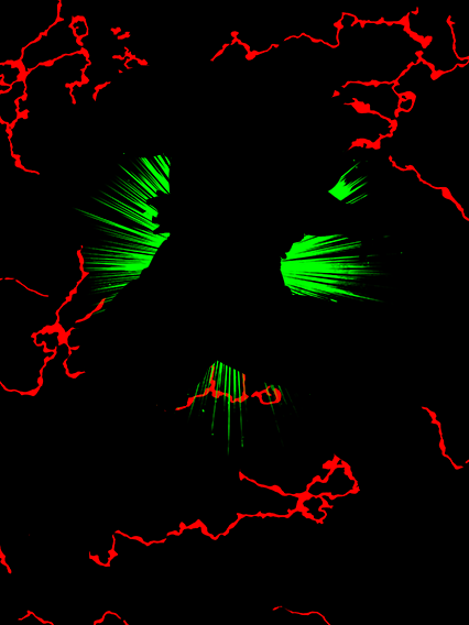 Piccolo Junior (forme géante)