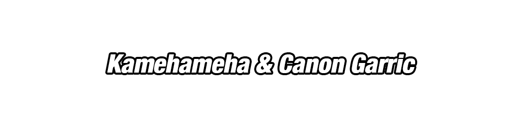 Son Goku Super Saiyan divin SS & 
Vegeta Super Saiyan divin SS