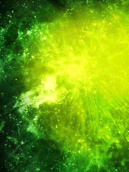 Hildegarn (forme complète)