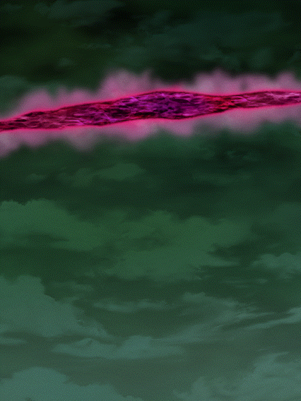 Goku Black (Super Saiyan Rosé)