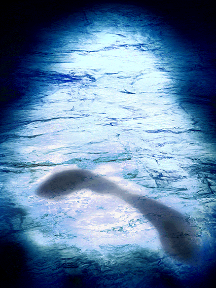 Son Goku (Ultra Instinct)