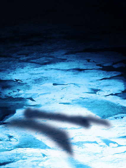 Son Gohan Super Saiyan (jeune)