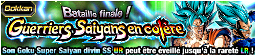 Bataille finale ! Guerriers Saiyans en colère