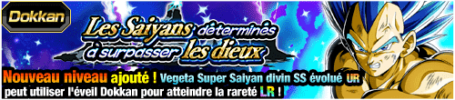 Les Saiyans déterminés à surpasser les dieux