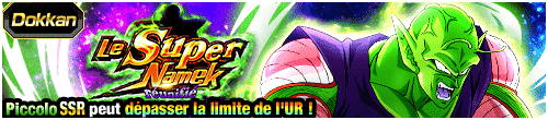 Le Super Namek réunifié