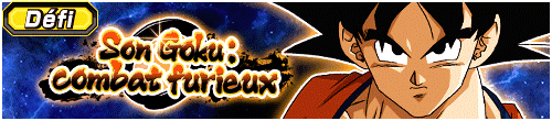 Son Goku : combat furieux