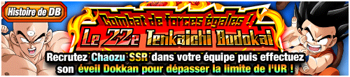 Combat de forces égales ! 
Le 22e Tenkaichi Budokai