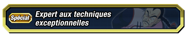 Expert aux techniques exceptionnelles