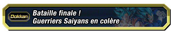 Bataille finale ! Guerriers Saiyans en colère
