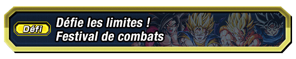 Défie les limites ! Festival de combats