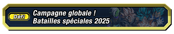 Batailles spéciales 2025