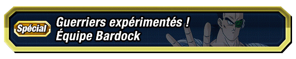 Guerriers expérimentés ! Équipe Bardock