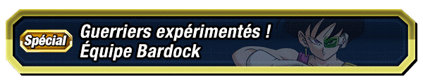 Guerriers expérimentés ! Équipe Bardock