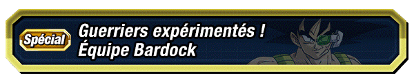 Guerriers expérimentés ! Équipe Bardock