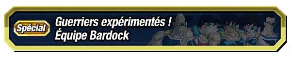 Guerriers expérimentés ! Équipe Bardock