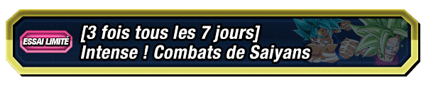 Intense ! Combats de Saiyans