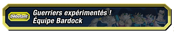 Guerriers expérimentés ! Équipe Bardock