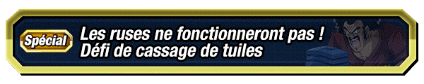 Les ruses ne fonctionneront pas ! 
Défi de cassage de tuiles