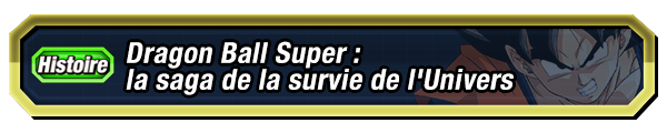 Dragon Ball Super : la saga de la survie de l'Univers