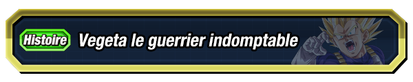 Vegeta le guerrier indomptable