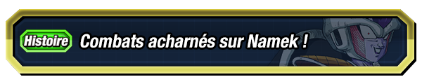 Combats acharnés sur Namek !