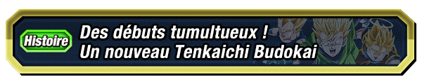 Des débuts tumultueux ! 
Un nouveau Tenkaichi Budokai