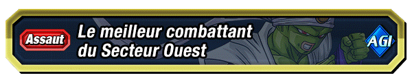 Le meilleur combattant du Secteur Ouest