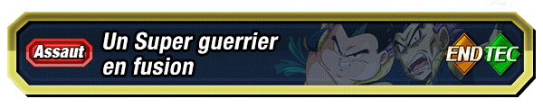 Un Super guerrier en fusion