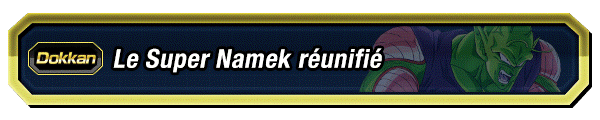 Le Super Namek réunifié