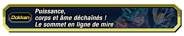 Puissance, corps et âme déchaînés ! 
Le sommet en ligne de mire