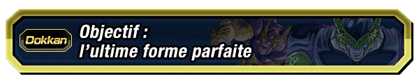 Objectif : l’ultime forme parfaite