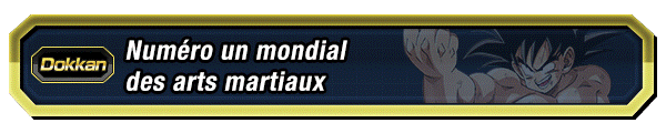 Numéro un mondial des arts martiaux